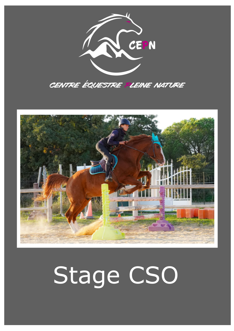 Stage CSO demi journée