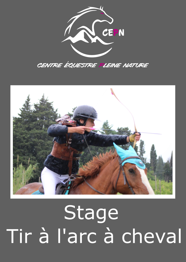 Stage Tir à l'arc à cheval demi journée