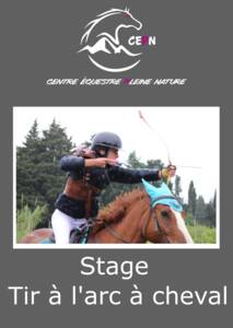 Stage Tir à l'arc à cheval demi journée